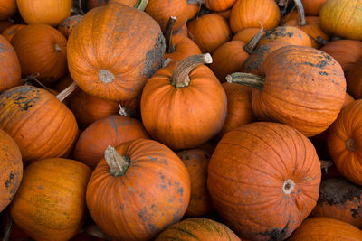 Full frame shot of pumpkins at market stall