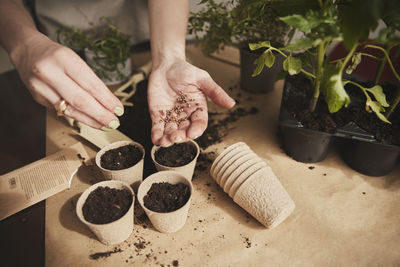 Woman planting herbs