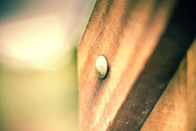 Close-up of ladybug on wood