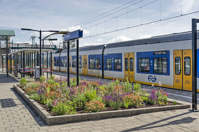 Platform of the local railway station with a colorful flower bed and a sprinter train