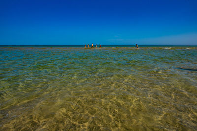 Scenic view of sea against clear blue sky