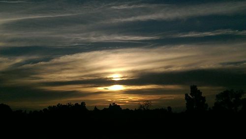 Silhouette of trees at sunset