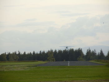 Scenic view of grassy field against sky