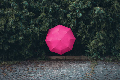 Pink umbrella amidst trees