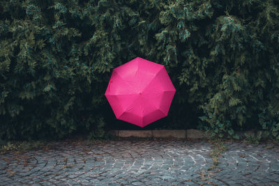 Pink umbrella on ground