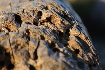 Close-up of stones