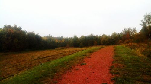 Scenic view of field against clear sky