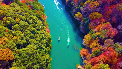 Beautiful nature view of arashiyama in autumn season along the river in kyoto, japan.