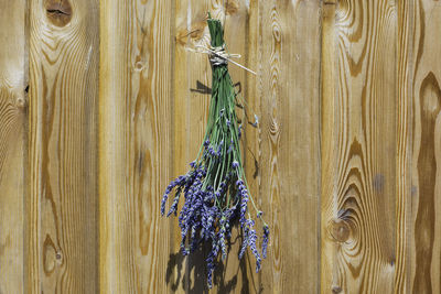 Full frame shot of banana hanging on wall