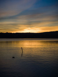 Silhouette person in sea against sky during sunset