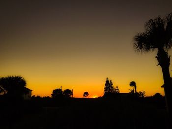 Silhouette of trees at sunset