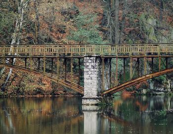 Bridge over river in forest