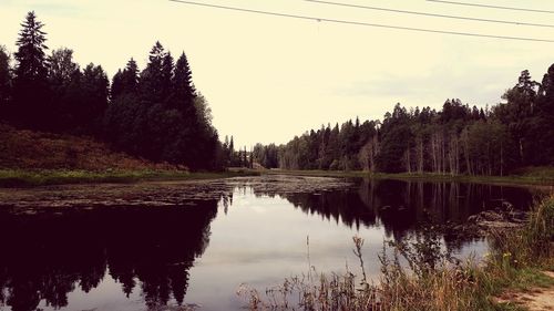 Scenic view of lake in forest against sky