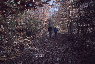 Rear view of people walking on road amidst trees in forest