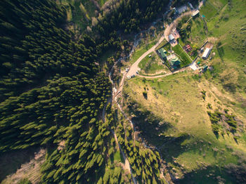 High angle view of trees on landscape