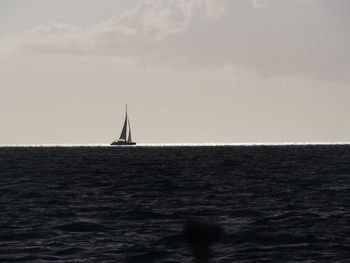 Sailboat sailing on sea against sky