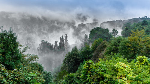 Panoramic view of waterfall in forest against sky