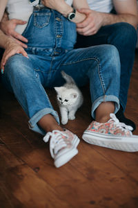 Midsection of woman with kitten