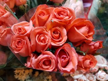 Close-up of rose bouquet