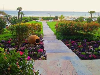 Flowers growing in sea