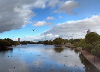 Birds flying over lake against sky