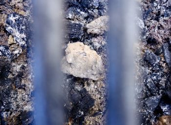 Close-up of snow on rock