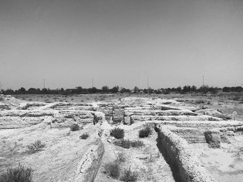 Scenic view of agricultural field against clear sky