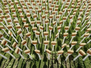 Full frame shot of paintbrushes on field