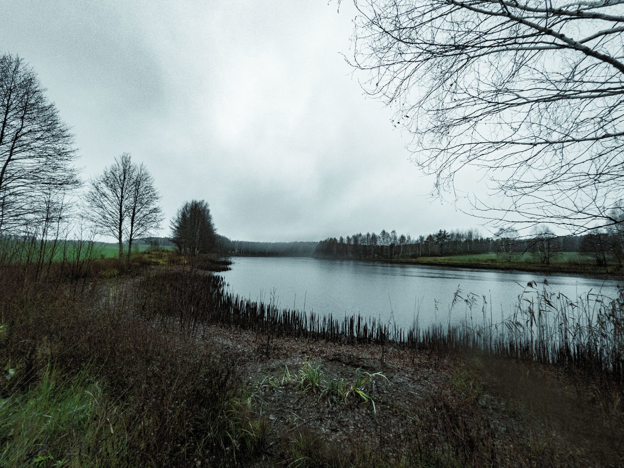 water, nature, tree, plant, sky, lake, cloud, tranquility, scenics - nature, reflection, beauty in nature, tranquil scene, environment, no people, landscape, bare tree, land, non-urban scene, wetland, morning, body of water, grass, rural area, overcast, reservoir, forest, outdoors, wilderness, waterway, lakeshore, day, natural environment, travel destinations, fog, beach, idyllic, remote, tourism
