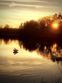 Scenic view of lake at sunset