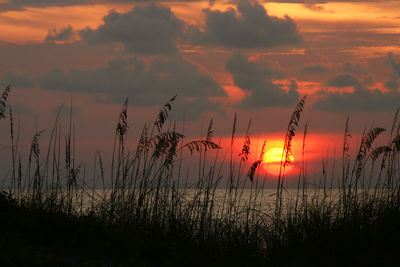 Scenic view of beach grass and lake against sky at sunset