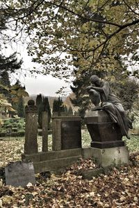 Cemetery against trees