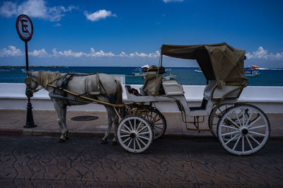 Horse cart by beach