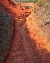 High angle view of trail on land