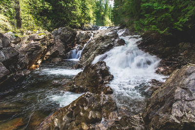 Scenic view of waterfall in forest