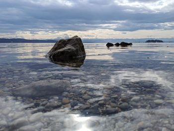 Surface level of rocks on beach against sky