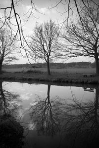 Bare tree by lake against sky