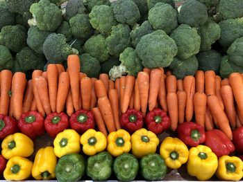 Fresh colorful vegetables