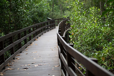 Footbridge over footpath amidst trees in forest