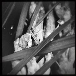 auto post production filter