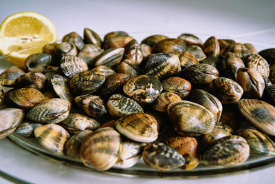 Close-up of snails in plate