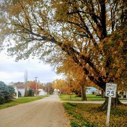 Road amidst autumn trees against sky