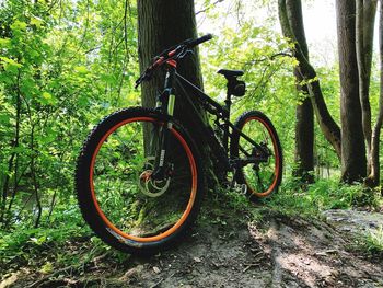 Bicycle parked on tree trunk in forest