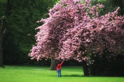 Full length of woman standing on pink flowers in park