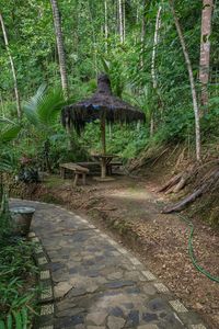 Footpath in park