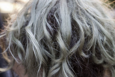 Close-up of hair