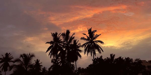 Low angle view of silhouette trees against sky during sunset