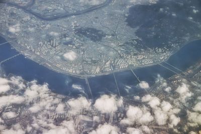 Low angle view of tree against sky