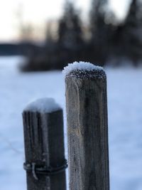 Close-up of wooden post in snow