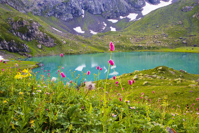 Wide angle lens landscape and mountain reflections in okhrotskhali in svaneti, georgia.